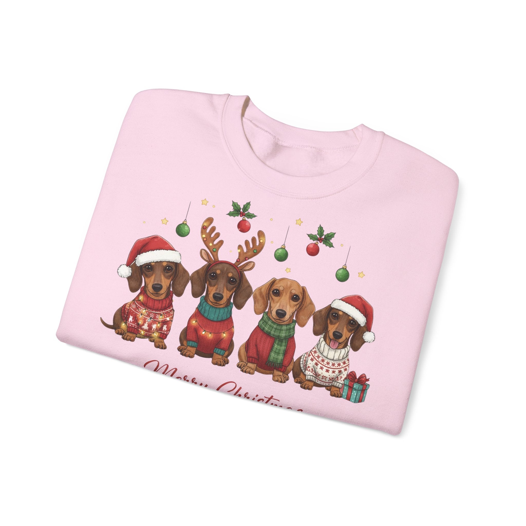 Suloinen mäyräkoira joulucollege