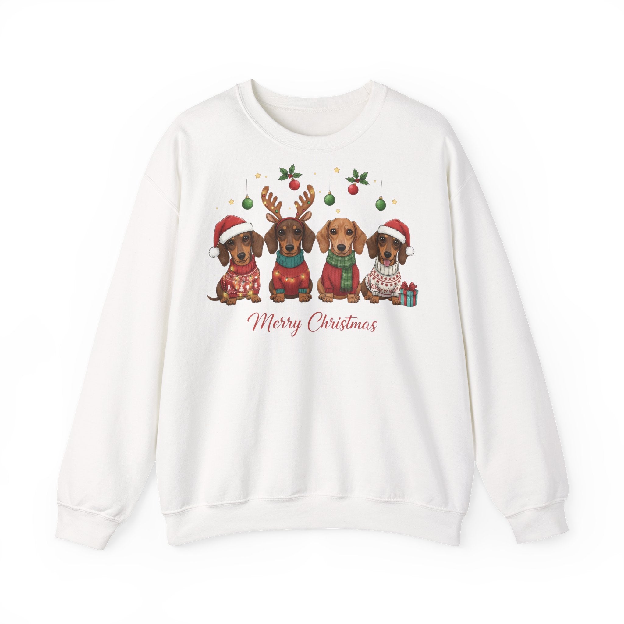 Suloinen mäyräkoira joulucollege