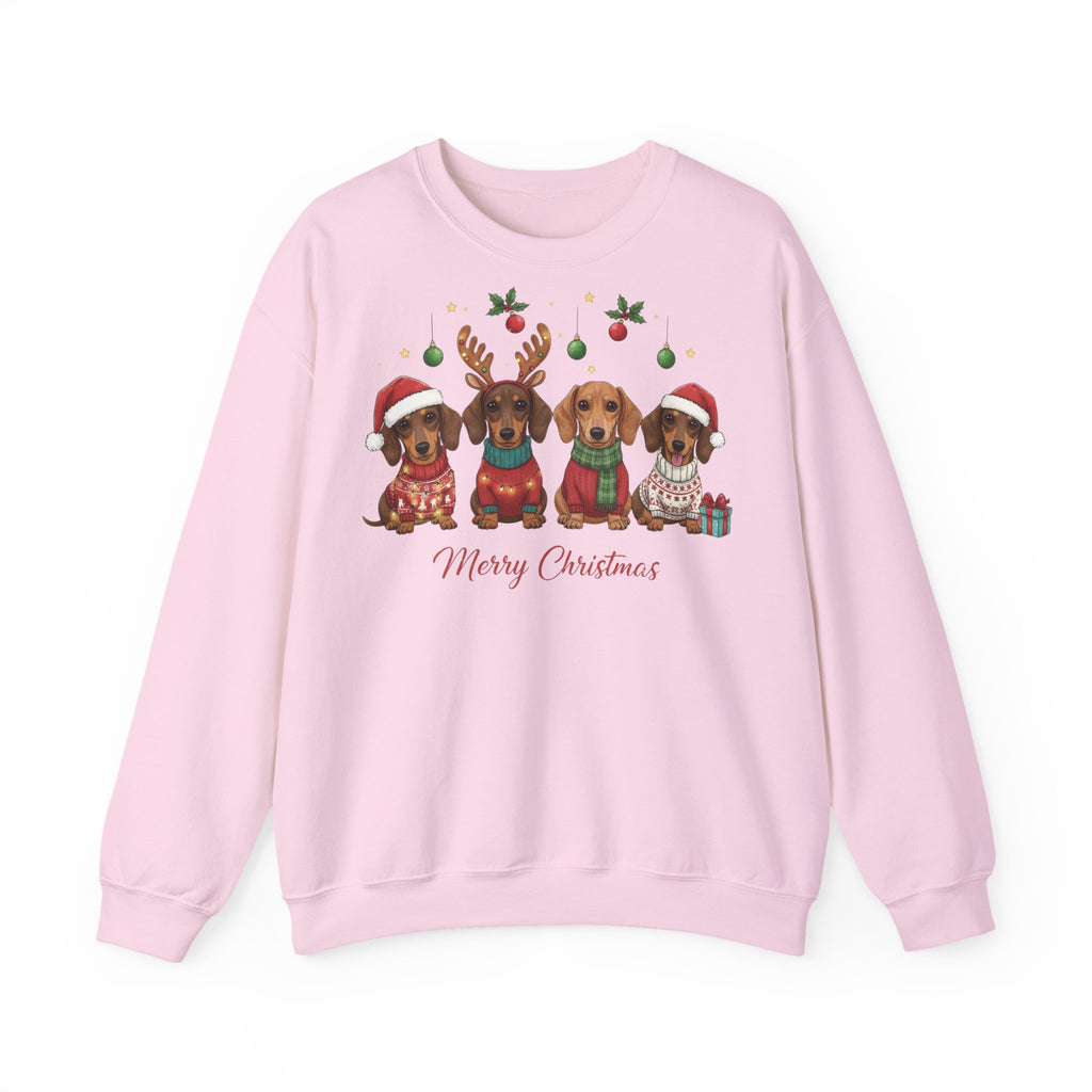 Suloinen mäyräkoira joulucollege