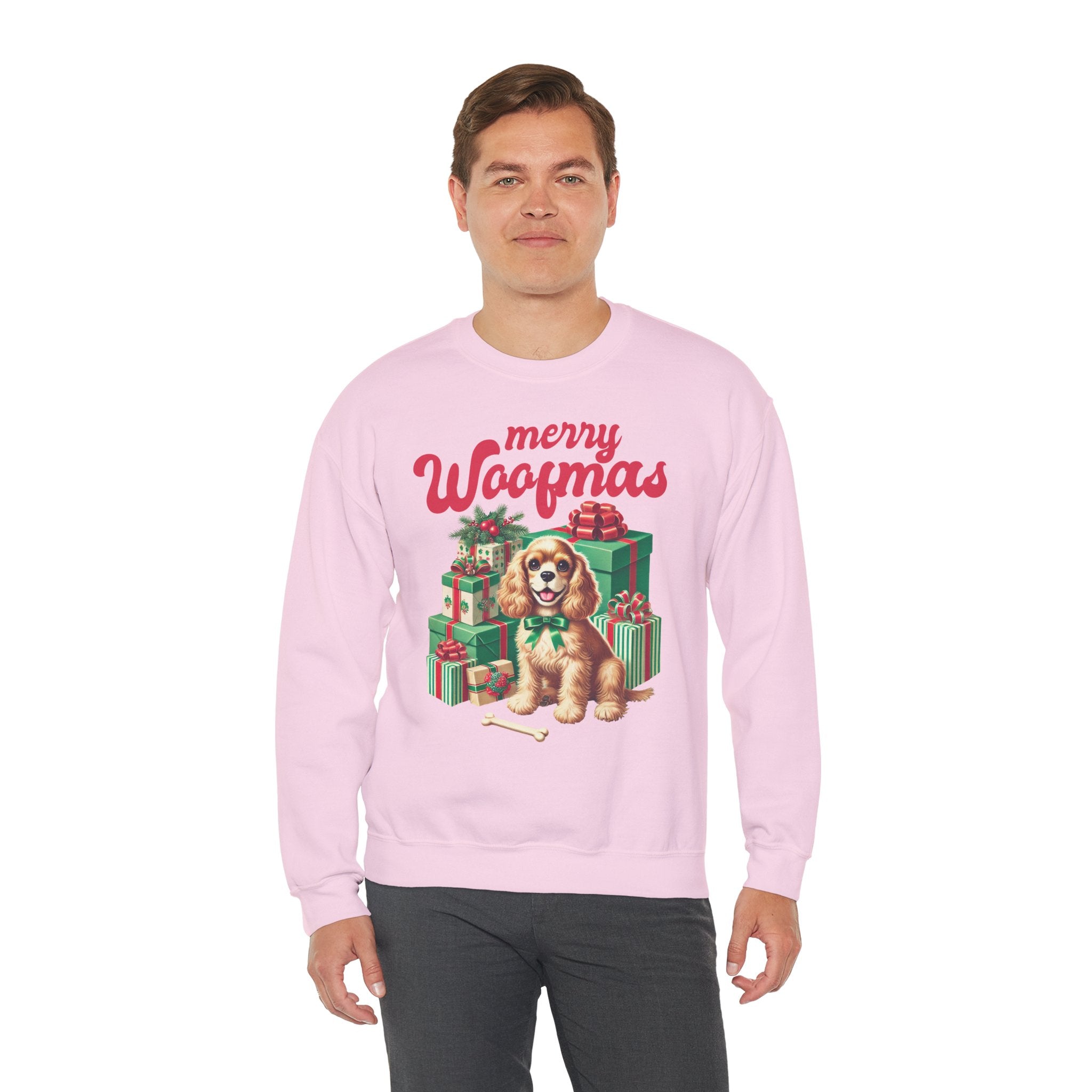 Jouluinen koira college paita